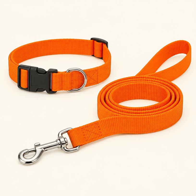 Collar нашийник + повідець нейлоновий, помаранчевий